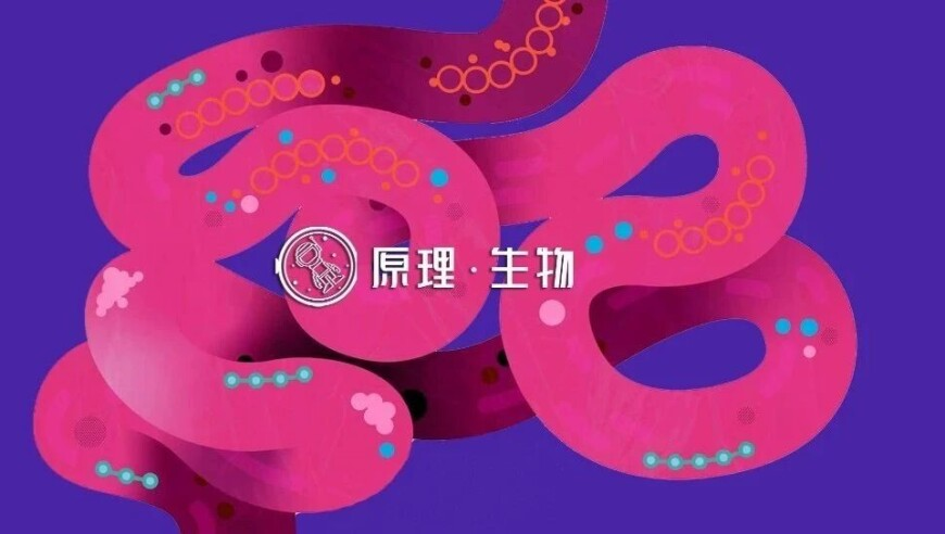 日本首相石破茂会见王毅,澳门资料大全正版资料,创造力策略实施推广_优选版V2.19