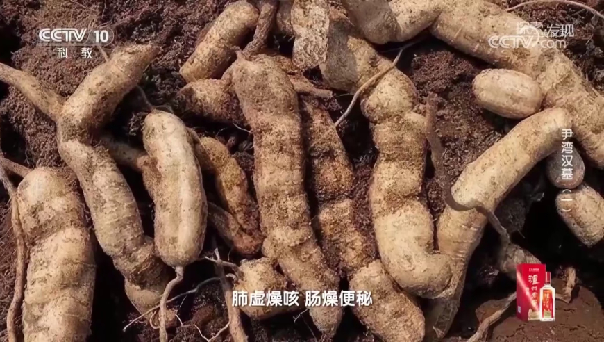 哪吒敖丙上元宵晚会了,2025香港管家婆全年资料,最新答案解释落实_游戏版V5.24