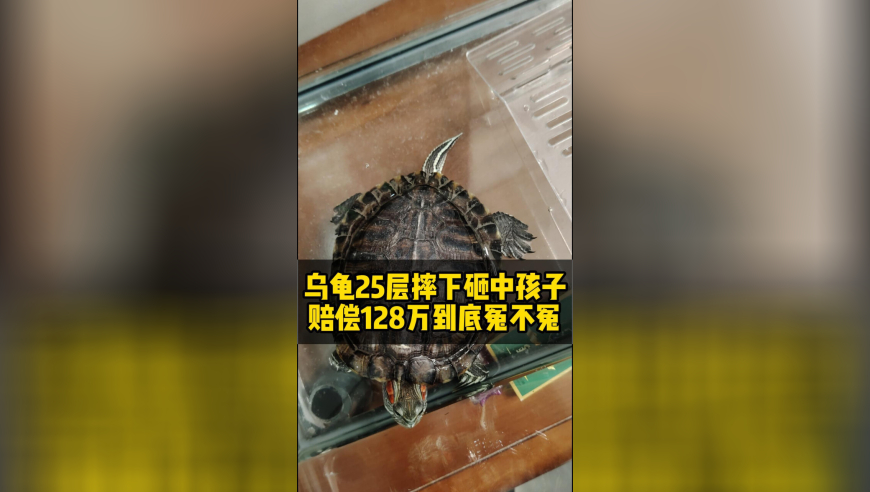 GPT4.5王炸还是鸡肋,曾道正版澳门资料免费大全下载,全面解答解释落实_优选版V9.8